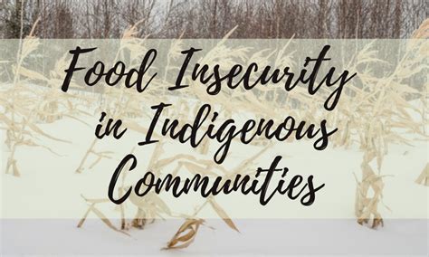 Food insecurity in Indigenous communities an urgent public health crisis: expert